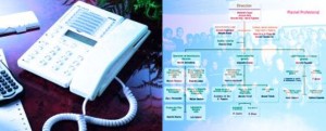 empresas profesionales